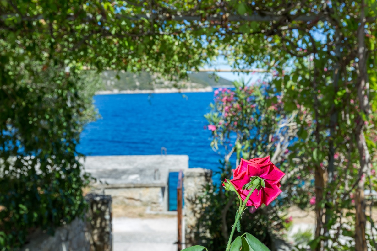 Prekrasni apartman Šime uz samo more - Savar